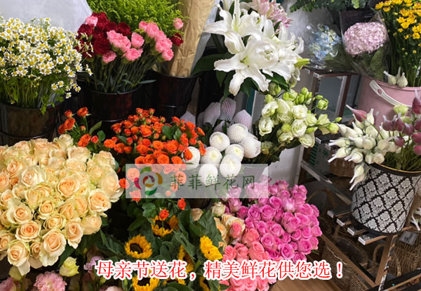 2024忻州保德县母亲节送花,忻州保德县精美鲜花供您选!